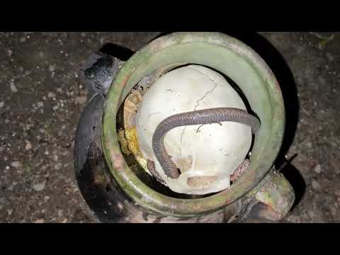 We Found a Magic Treasure. / Paranormal Treasure Hunt