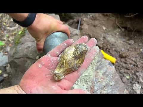 Treasure Hunt / The 10 most valuable treasure found in 2022