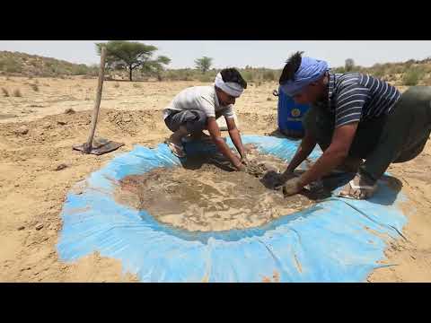 The Harsh Reality of Desert Nomads Giving Life to Wildlife