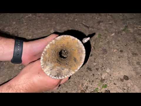 Real Treasure Hunt! We Found A Great Treasure At Midnight