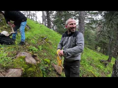 Ormada Gizli Hazineyi Bulduk Ama Yanlız Degildik