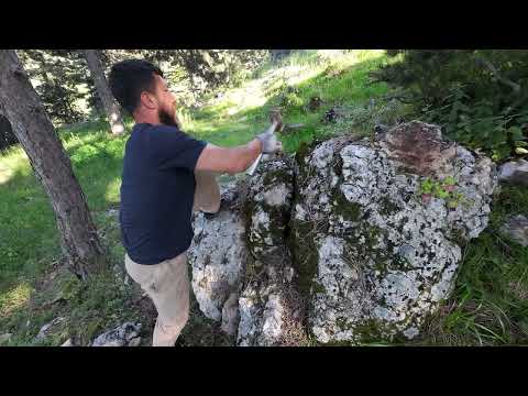 Defineciler Paha Biçilmez Heykel Buldu
