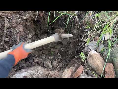 Treasure Hunt / We Found A Tall Treasure Box with the Gold Stinger X5 Metal Detector