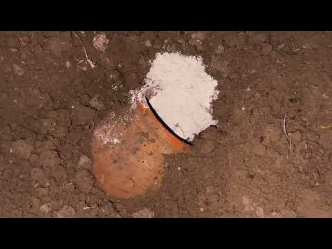 Real Treasure Hunt / I Found A Very Valuable Treasure With The Gold Star 3D Metal Detector