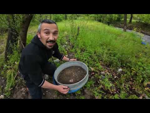 Pan Elekle Altın Ararken Şaşırtıcı Bir Keşif Yaptık