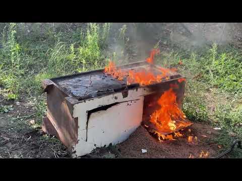 Strange Treasure Hunt We Found an Abandoned Safe That Shocked The Whole World