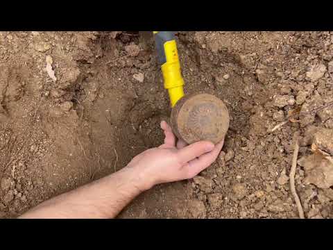 TREASURE HUNT. / TREASURE DISCOVERY WITH THE GOLD STINGER X5 METAL DETECTOR