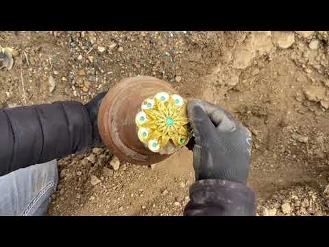 WE FOUND TREASURE / GOLDEN STAR SEAL