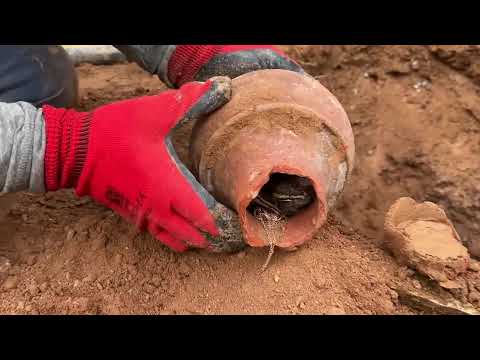5 Dangerous Treasure Hunts! 5 Cursed Treasures Found With A Metal Detector