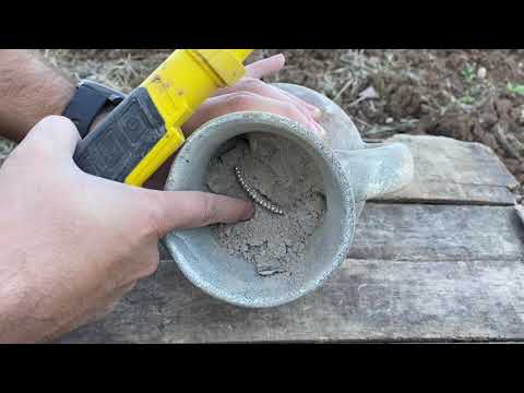 Treasure Hunting By Metal Detector / We Found Treasure