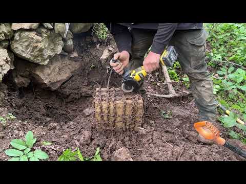 We Found The Great Treasure Strange Treasure Hunt With a Metal Detector