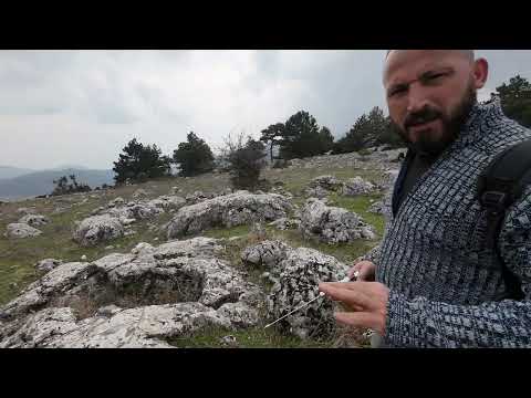 KRAL MEZARININ MUHTEŞEM DEFİNESİ
