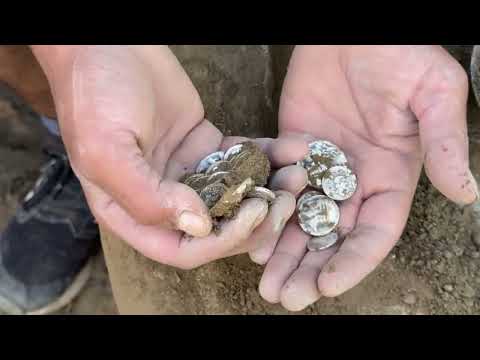 We Found a Treasure That Will Change History [Strange Discovery Made With a Metal Detector]