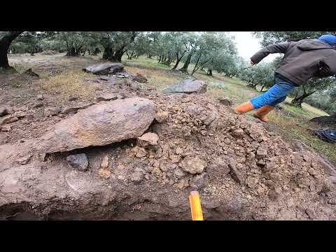 Kaplumbağa Definesinin Devamını Açıyoruz