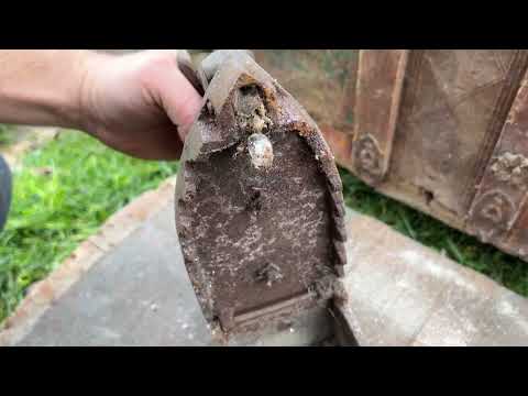 WE FOUND A REAL TREASURE CHEST! - TREASURE HUNT
