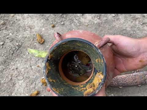 We Found a Mysterious Treasure / Great Treasure Hunt / 2021