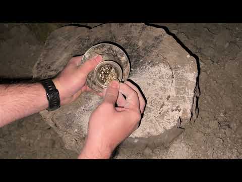 I Found A Very Valuable Treasure / Treasure Hunting By Metal Detector