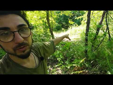 Dedektör İle Etrafa Saçılmış Defineyi Buluyorum