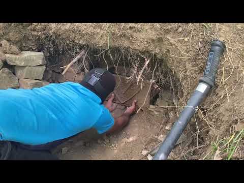 We found a big treasure chest. Incredible treasure hunt with metal detector