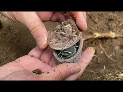 TREASURE HUNT / WE FOUND A BOX FILLED WITH JEWELERY