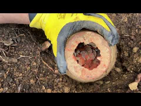 We Found Treasure With 3D Underground Imaging System! / Gold Vision Metal Detector