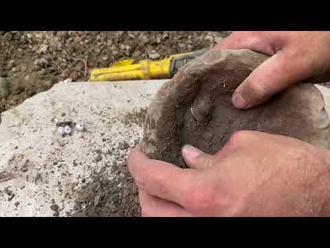 The Incredible Treasure We Found / Treasure Hunt