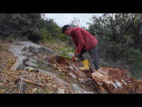 Arazide Arama Yaparken Muhteşem Hazineye Denk Geldim