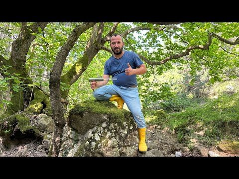 Akreplerin Koruduğu Define Kasasını Açıyoruz