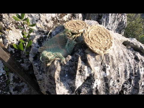 Roma Eşkiyalarının Define Kasasından Çıkanlar Muhteşem