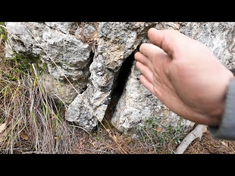 Çokiyi Gizlenmiş Define Kasasından Çıkan Hazine