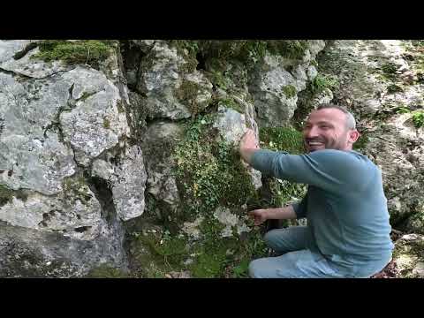 Kayanın İçindeki Gizemli Define Kasasını Açıyoruz