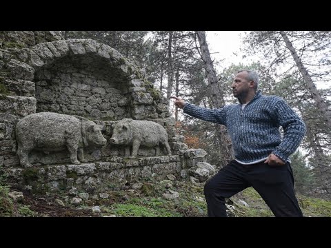 Defineciler Şokta Kayada Oyma Domuz Ve Define İşaretleri Dolu