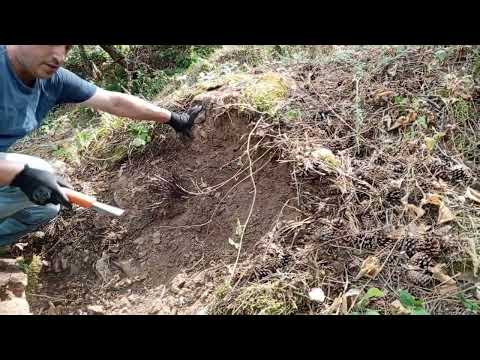 Kayadaki Yılanlı Hazineyi Yakaladık