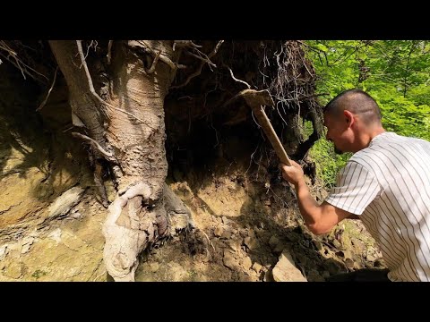 Kerim Babayla Ormandaki Gizli Define Kasasını Açıyoruz