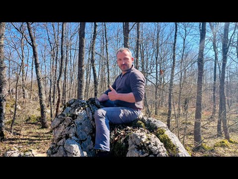 Aslan Figüründeki Define Kasasından Çıkan Hazine