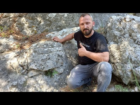 Kaplumbağa Figüründeki Gizemli Define Kasasını Açtık