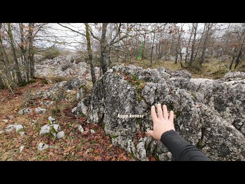 Kaya Kasası Açılmak Bilmedi İçinde Nasıl Bir DEFİNE Var