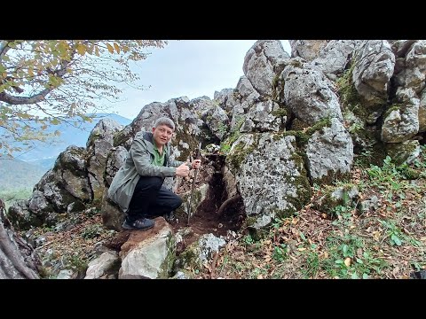 Kaya Kasasından Define Fışkırdı Gözlerimize İnanamadık