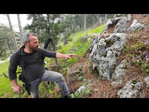 Asırlık Sır Ortaya Çıktı Osmanlı Hazinesi Bulundu