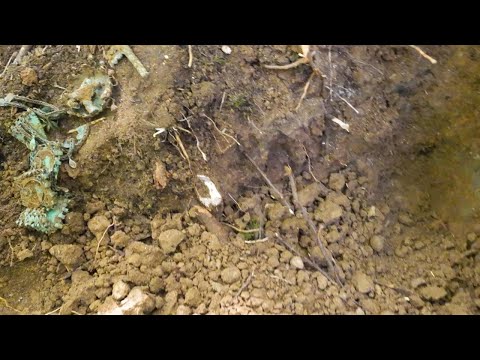 Ermeni Yaşam Alanındaki Milyondolarlık Defineyi Buldum