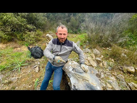 Define İşeretindeki Gizemi Çözdüm Milyonluk Hazineye Ulaştım