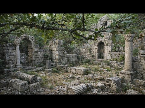 Define Avında Buldugumuz Hazine Sizi Şaşırtacak