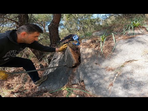 Gizli Hazineler İçin Ormanı Keşfettim Define Kasası Buldum