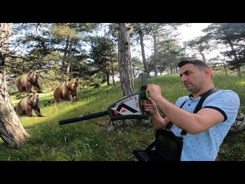 Ayı İşaretinden Milyonluk Muhteşem Defineyi Çıkartıyoruz