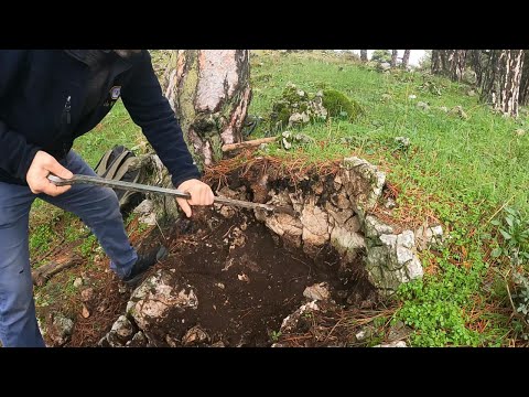 Ormanda Saklı Kalmış Macera Dolu Define Arayışı