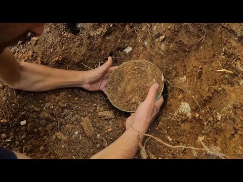 Ormanda Bulduğumuz Beş Kiloluk Muhteşem Define