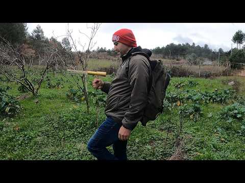 Tarlada Saklı Define Toprağın Altındaki Sır