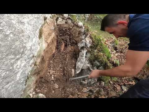 Defineyi Çıkaranlara Dikkat! Tehlikeli Sonuçlar Geliyor