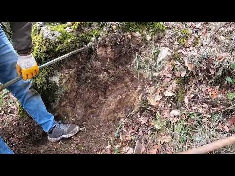 Gizemli Ormanda Muhteşem Define Bulundu