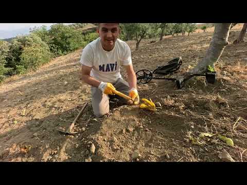 Tarlada Tek Tek Muhteşem Define Paraları bulduk